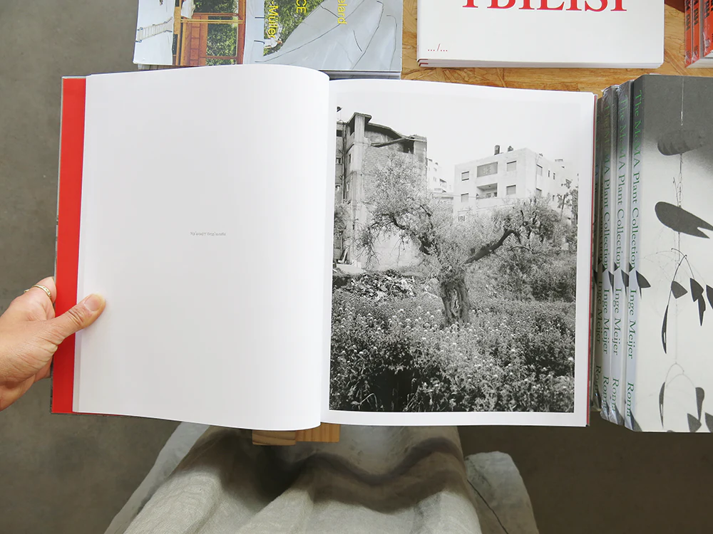 Thumbnail 9