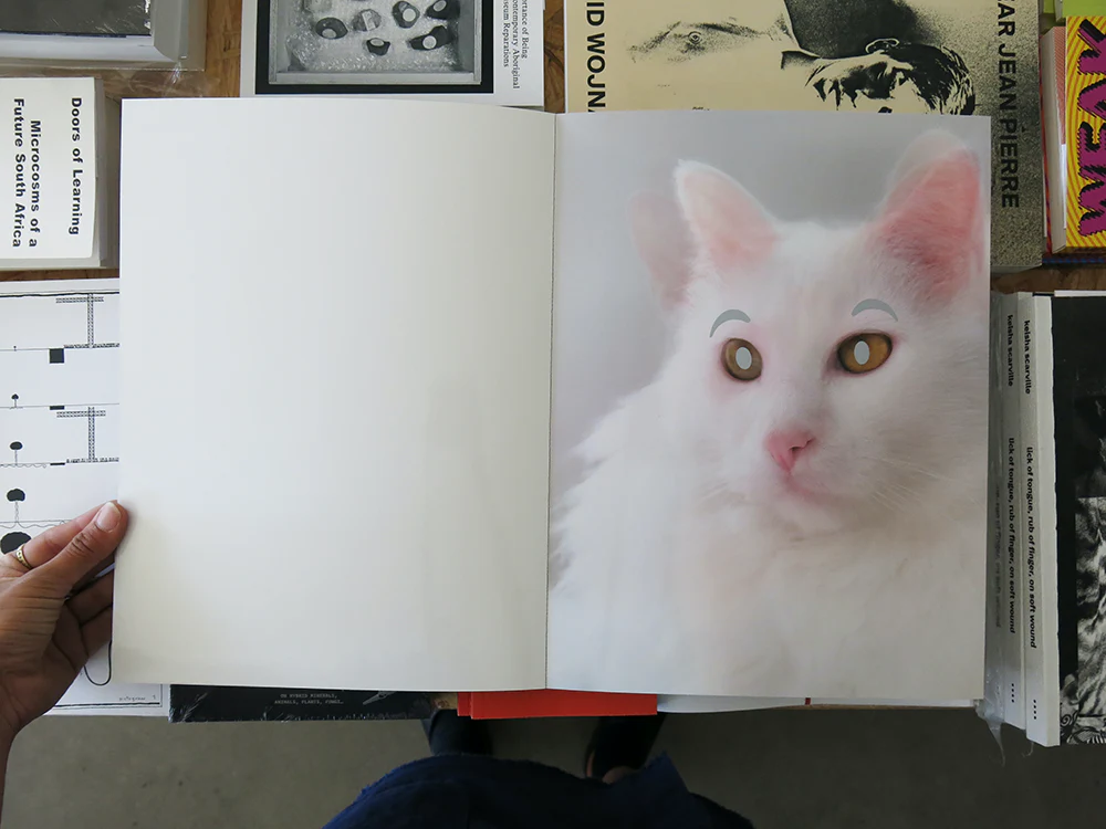 Thumbnail 8